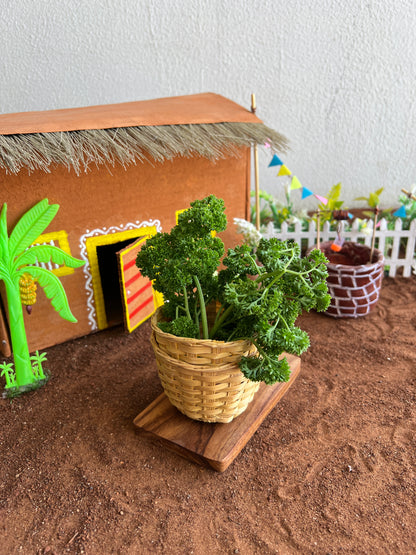 Chotu Chabdi (Set of 2 )