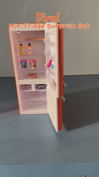 Mini Chill Collectibles Fridge