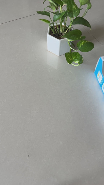 AquaPengu Dispenser